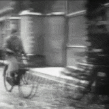 Rijbewijs