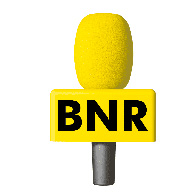 wasp_case_bnr